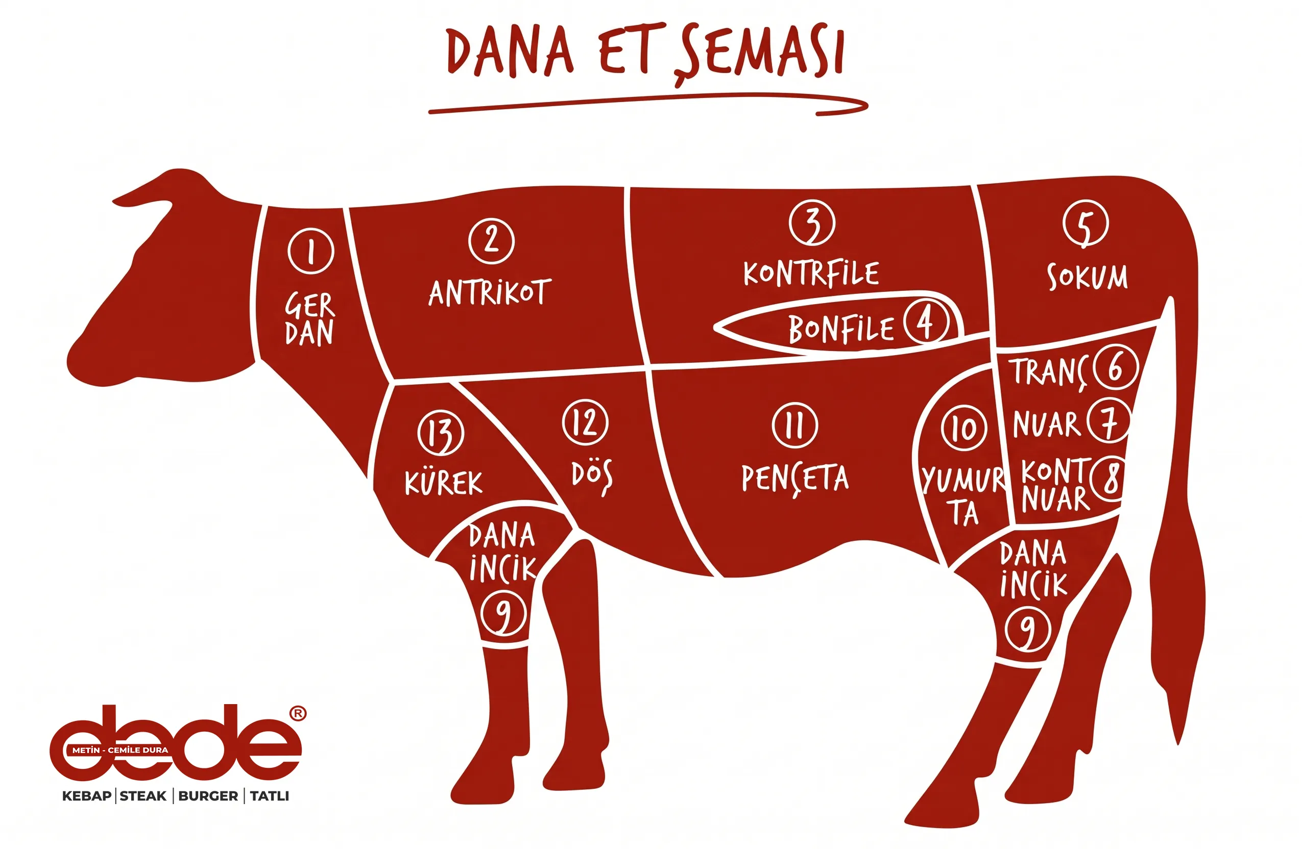 Dana et şeması: antrikot, kontrfile, bonfile ve sokumun dananın neresinden &ccedil;ıktığı