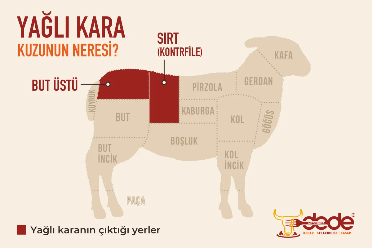 Kuzu kesim şeması: yağlı kara kuzunun sırtından (kontrfile) ya da butunun &uuml;st kısmından &ccedil;ıkar